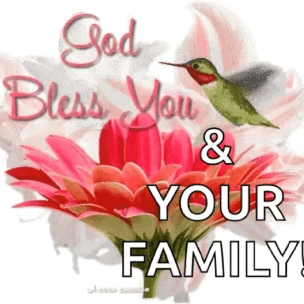 Veterinarian Fees are paid with your purchase for my Yorkies vet bills ♥️🔥🥰 - Picture 12 of 16